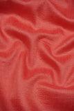 Carmine Red Vanesaa Silk